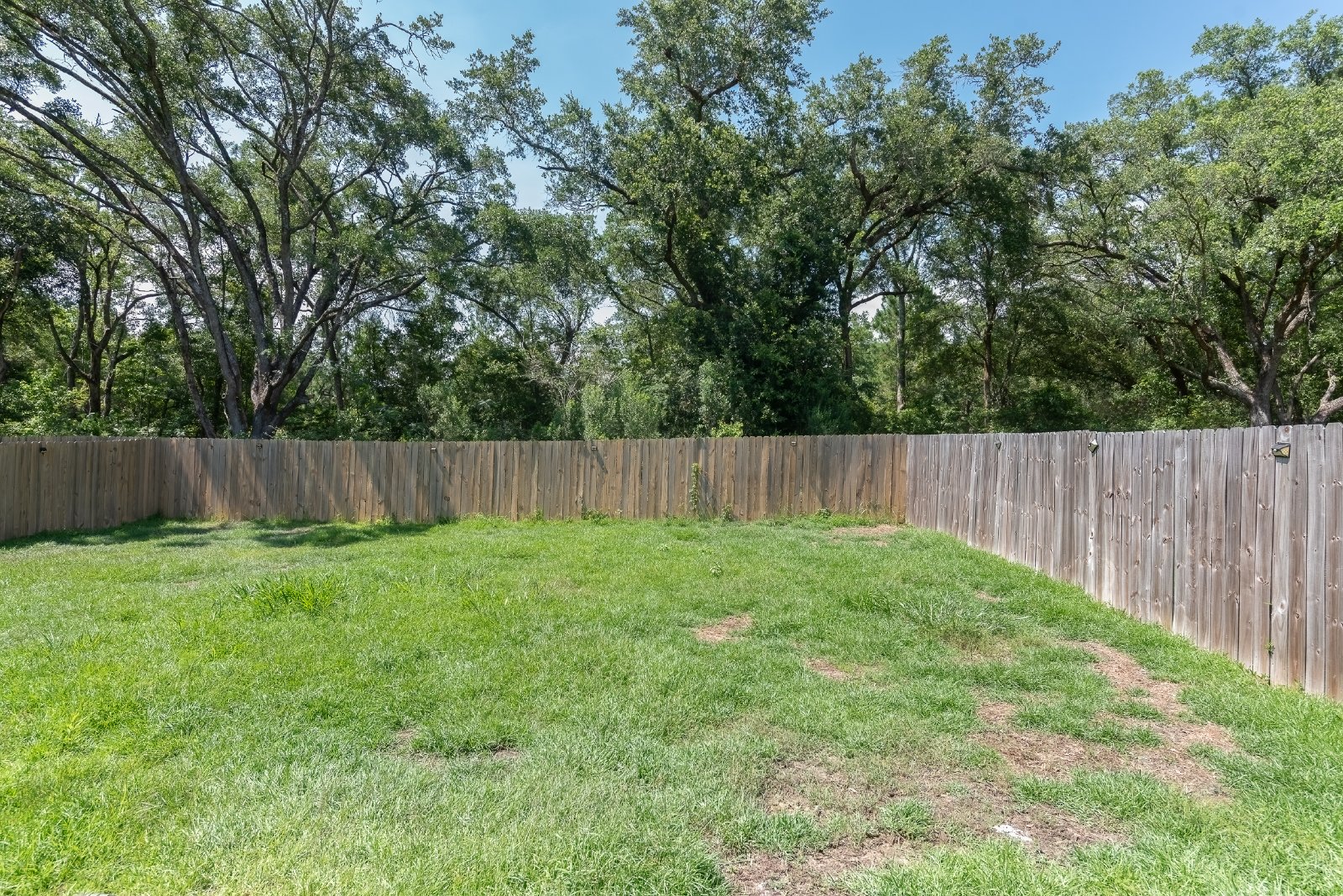 Camellia Drive 240 - 1 property image