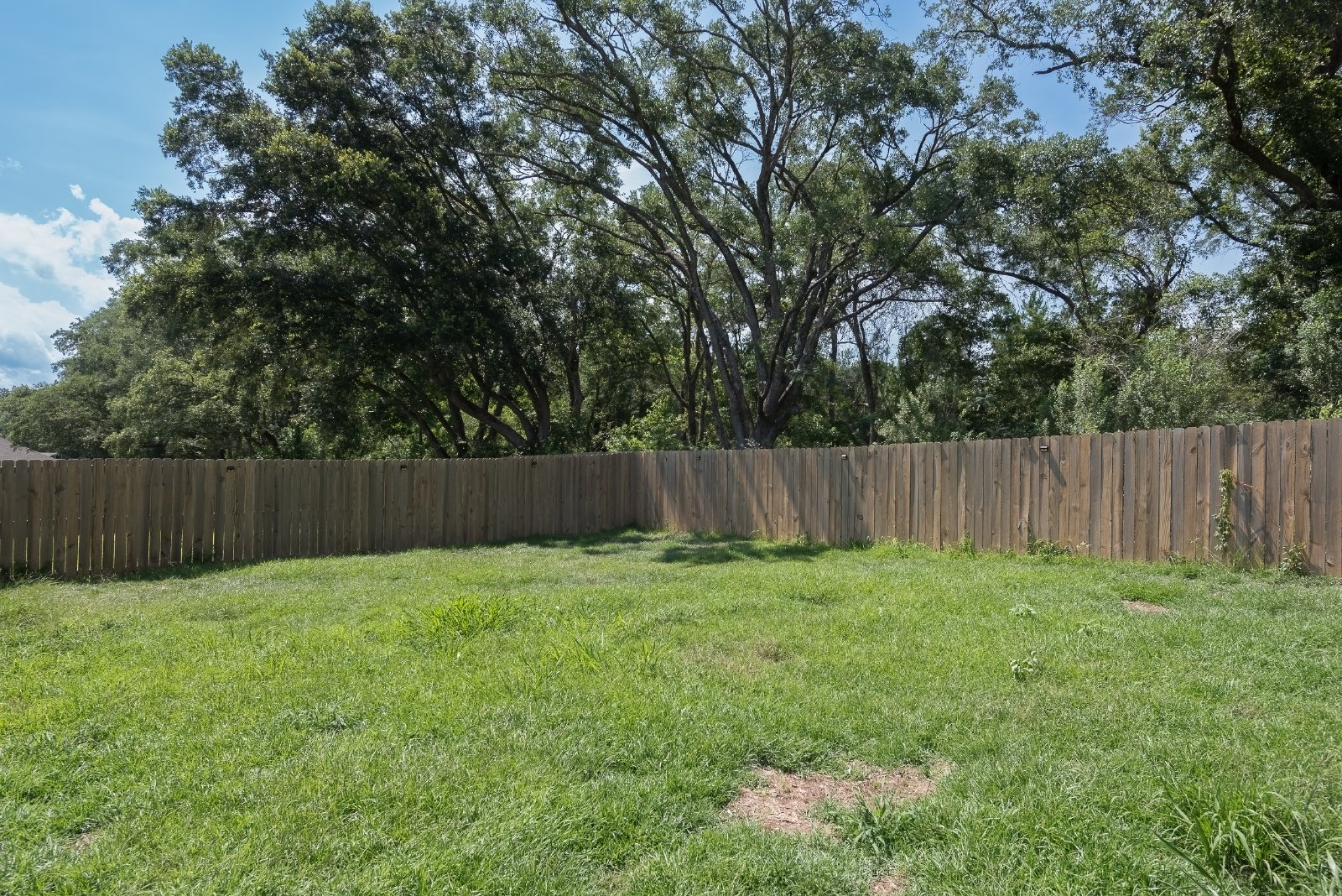 Camellia Drive 240 - 1 property image
